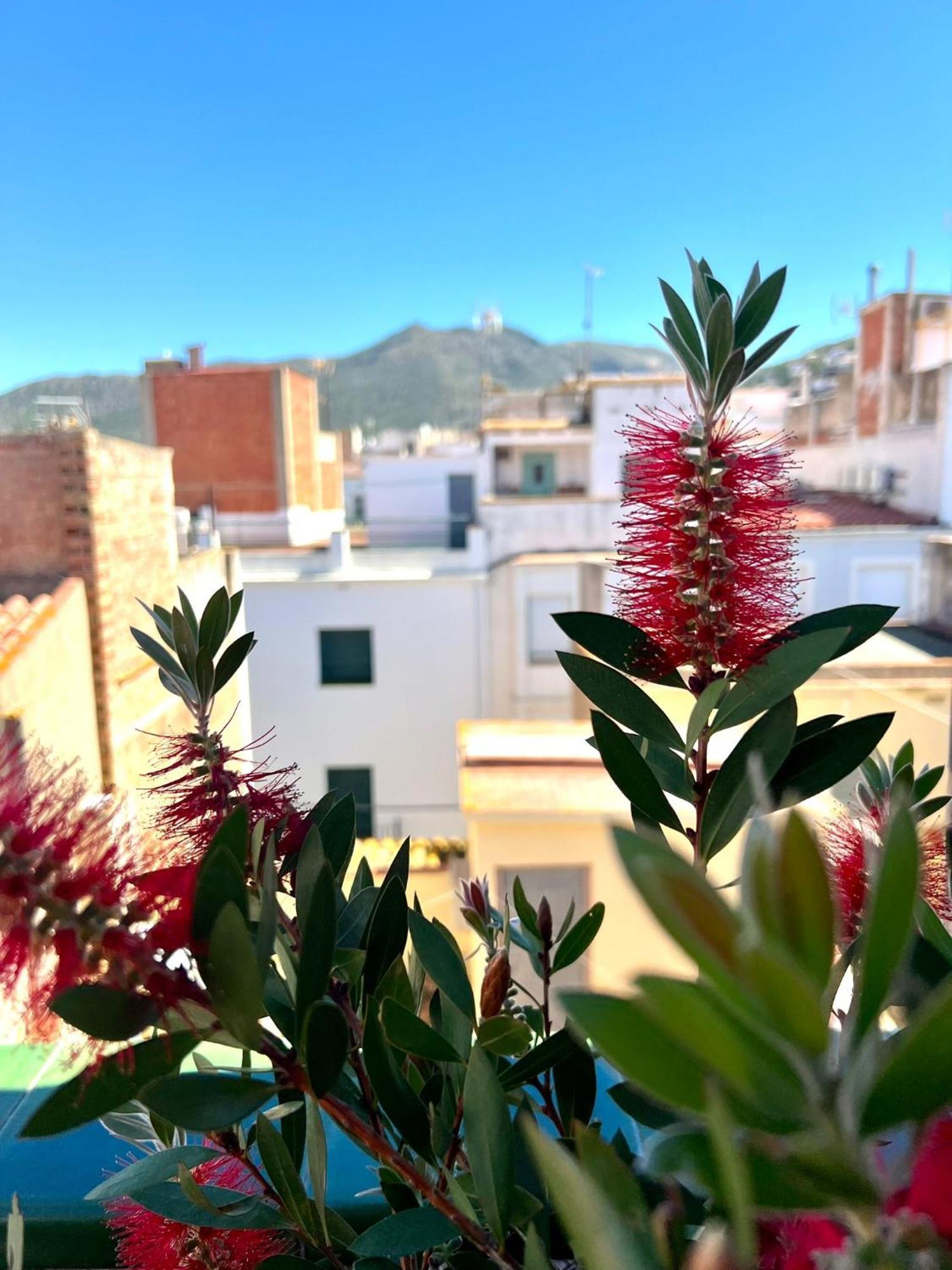 Escondite Central Con Terraza Compartida En La Azotea Rosas Exterior foto